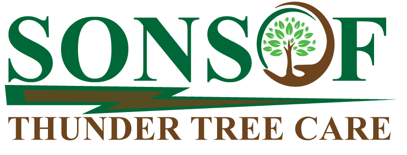 Sons of Thunder Tree Care